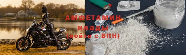 шишки Рославль