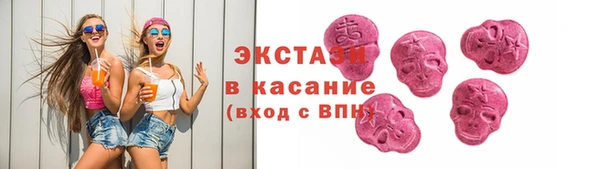 гашик Алексин