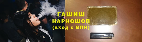 гашик Алексин