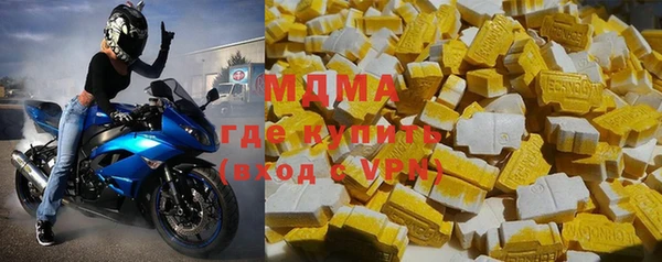 гашик Алексин