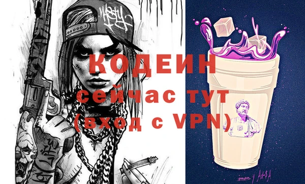 гашик Алексин