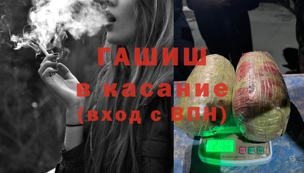 гашик Алексин