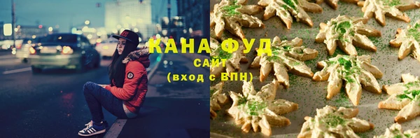 гашик Алексин