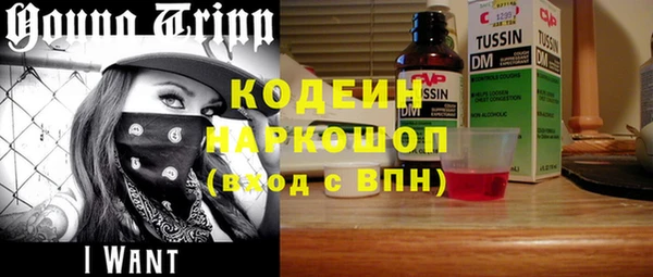 гашик Алексин