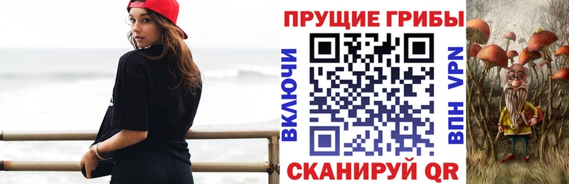 хочу наркоту  hydra вход  Псилоцибиновые грибы MAGIC MUSHROOMS  Болхов 